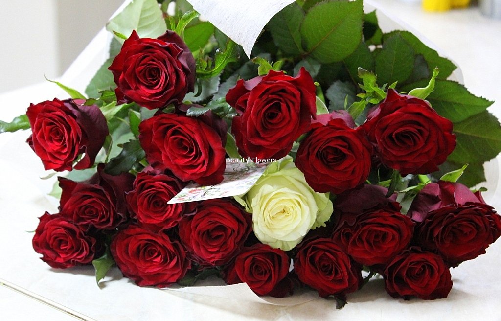 Розочки дарить. Букет дарю. Подарили розы. Розы подарок девушке. Красные розы букет что означает.